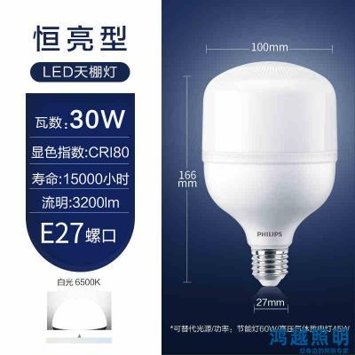 PHILIPS Lowbay TForce Core HB LED Bulb E27 恒亮型LED中低天棚灯30W 865 E27 G4 929003630310